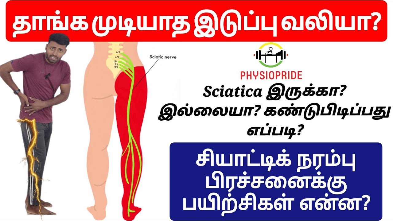 இடுப்பு வலி குறையவில்லையா? சியாட்டிக் நரம்பு வலியை கண்டுபிடிப்பது எப்படி? பயிற்சிகள் என்ன?||Sciatica