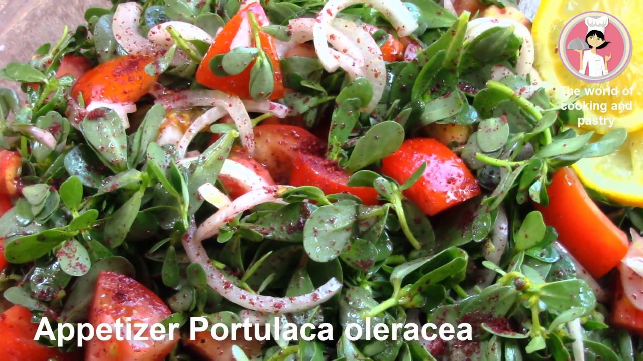 Appetizer Portulaca oleracea With Rabah YouTube
