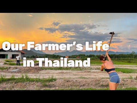 EP.17 Two Chinese girls’ farming life in Thailand｜两个中国女生在泰国当农民