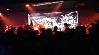 DAGING-haram hina bermahkota LIVE in//BRUTALMIND feeding time chapter 1