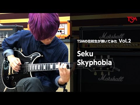 Seku - Skyphobia【弾いてみた動画】byTSM