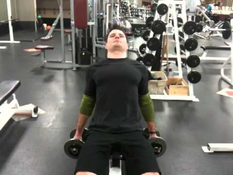 At vise løgner desillusion Dumbbell Incline Hammer Curls - YouTube