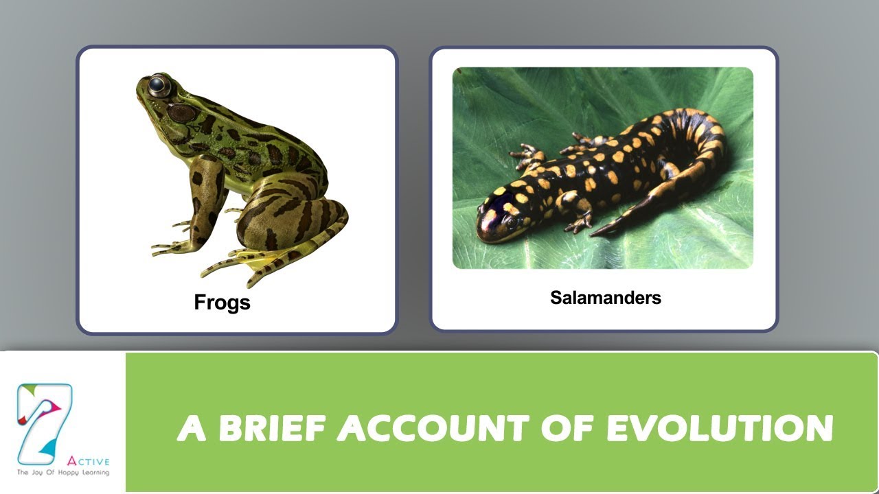 A BRIEF ACCOUNT OF EVOLUTION YouTube