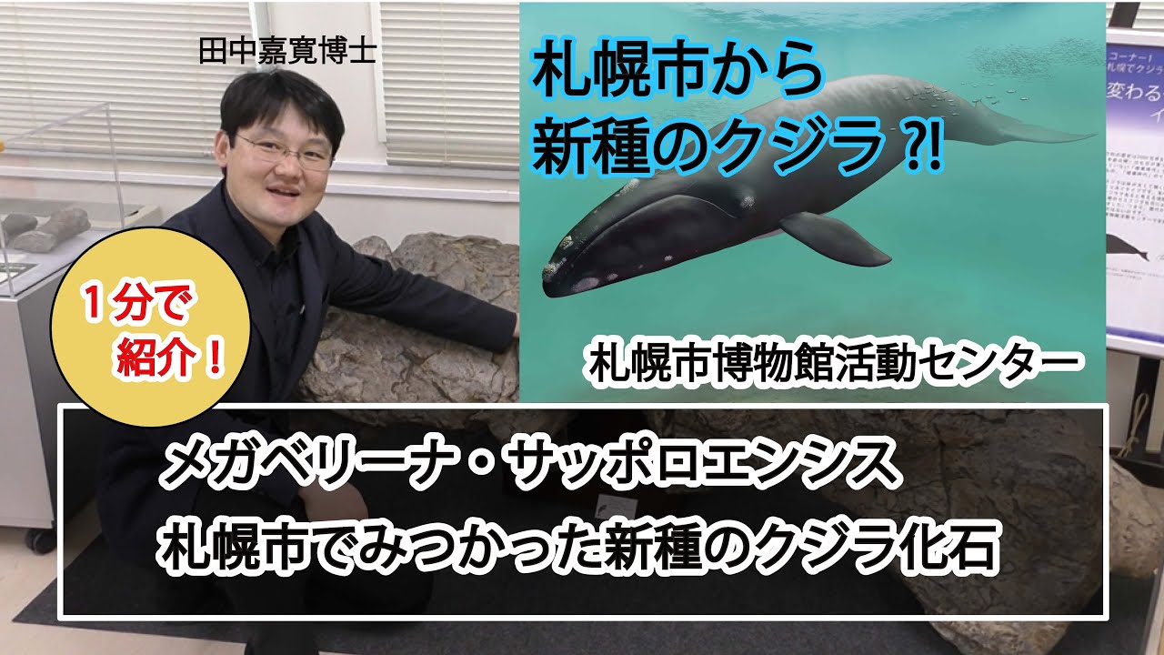 A new species of whale discovered in Sapporo?! A one-minute