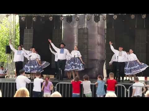Folklórny súbor V