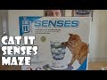 Infomercalism: Cat It Senses Food Maze