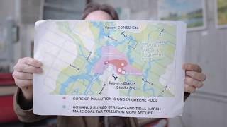 Celebrity Open Source Stories: The Science of Collective Discovery [teaser 1] Profile