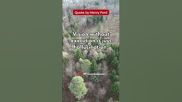 Vision without execution is just hallucination #HenryFord #shorts #subscribe