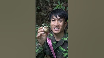 ốc núi đá . anh chị từng ăn thử loại ốc này chưa ạ