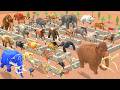Maze Madness Race 30 Prehistoric Mammals Which is the Fastest Animal? Animal Revolt Battle Simulator