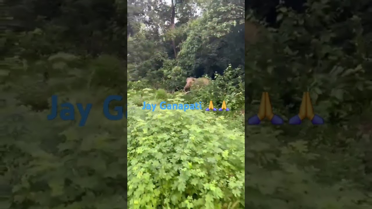 Jay Ganapati 🙏 🙏 Happy Ganesh CHATURTHI 