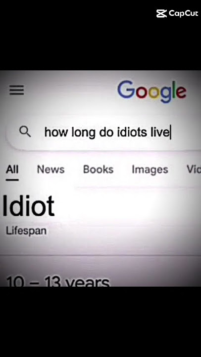 How long do idiots live Funny cat edition
