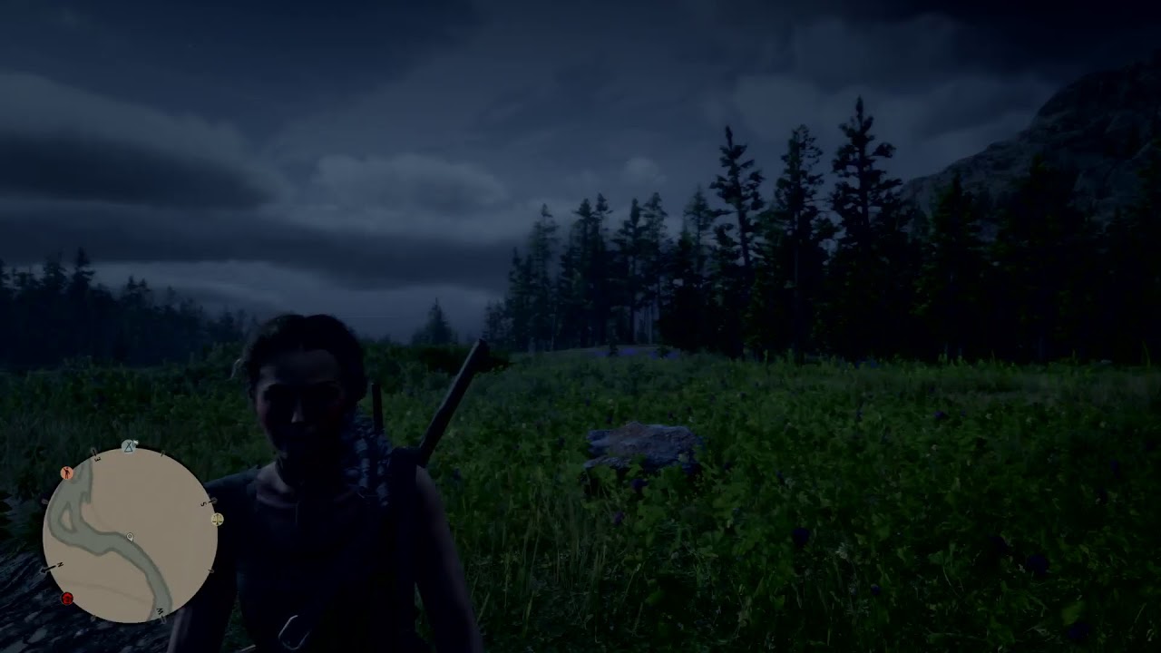 RDR2: PRETTY GIRL’s Face ON POINT! Free roaming W/ SASHAL33 - YouTube