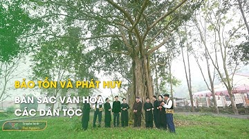 Bảo tồn và phát huy bản sắc văn hóa các dân tộc | Thái Nguyên TV