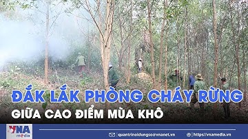 Đắk Lắk phòng cháy rừng giữa cao điểm mùa khô - VNA