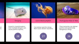 The 30 Most Dangerous Animals in North Carolina