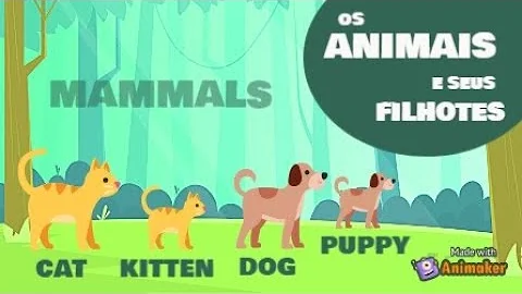 Como é chamado filhote de cachorro?