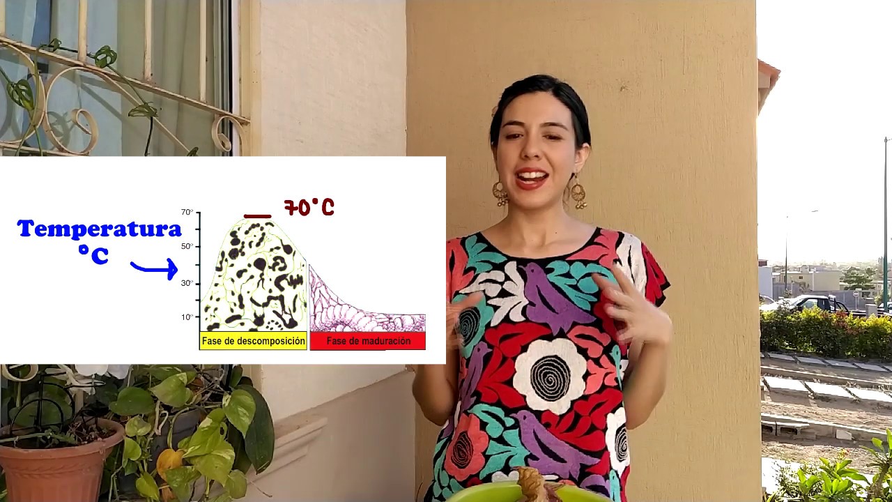 Lo que nadie te contó sobre hacer composta/Compostaje/Preguntas frecuentes: Problemas y soluciones