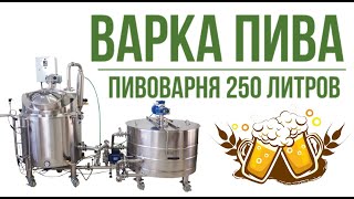 Тестовая варка на пивоварне Бархан - 250
