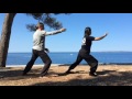 Tai Chi 10 Form 太極拳10式 Taijiquan 10-Form