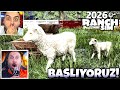 SESEGEL İLE BAŞLIYORUZ 😱 KUZU ALDIK ! İLK GÜN ! RANCH SİMULATOR 2026 ! #1