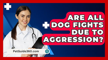 Are All Dog Fights Due To Aggression? - PetGuide360.com