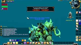World Of Warcraft - Fly Bug