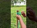 99% People Can’t Tie This Knot Correctly 😱 #RopeKnot#KnotTutorial#SurvivalSkills#campinglife