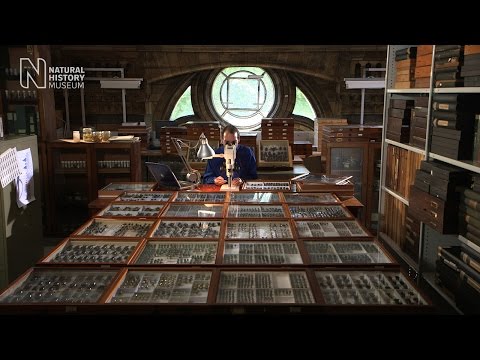 Digitising the collections | Natural History Museum