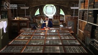 Digitising the collections | Natural History Museum
