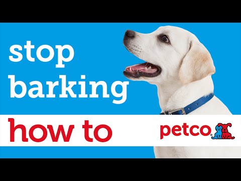 anti barking device petco