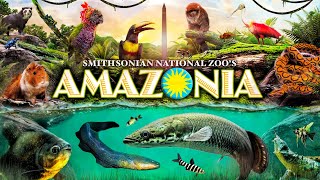 Zoo Tours: Amazonia | Smithsonian National Zoo