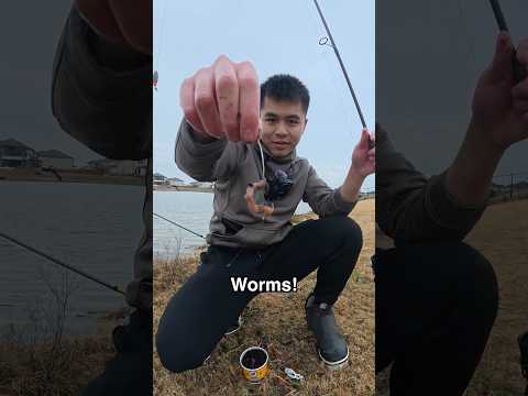 I Tested The MOST POPULAR Baits EVER And This Happened...￼