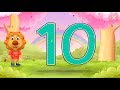 Kids Learning Video - Learn Numbers with Lion in the forest