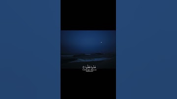 يَا لَيْتَهَا كَانَتِ الْقَاضِيَةَ||تلاوة خاشعة بصوت الشيخ ياسر الدوسري 💗🌿