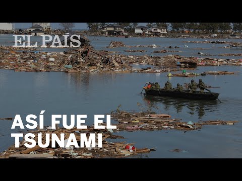 Video: ¿Qué áreas se vieron afectadas por el tsunami en Japón 2011?