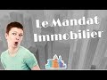 Le mandat immobilier