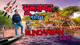 অপরপ ভযঙকর সনদরবনর গহন যওযর গলপ Sundarban Tour Ayoun Vlog