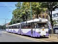 Cab view Linia 4 : Ciarda Roşie - Torontal (Timișoara)