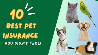Top 10 Best Pet Insurance Providers in 2023-2024 | Comprehensive Guide