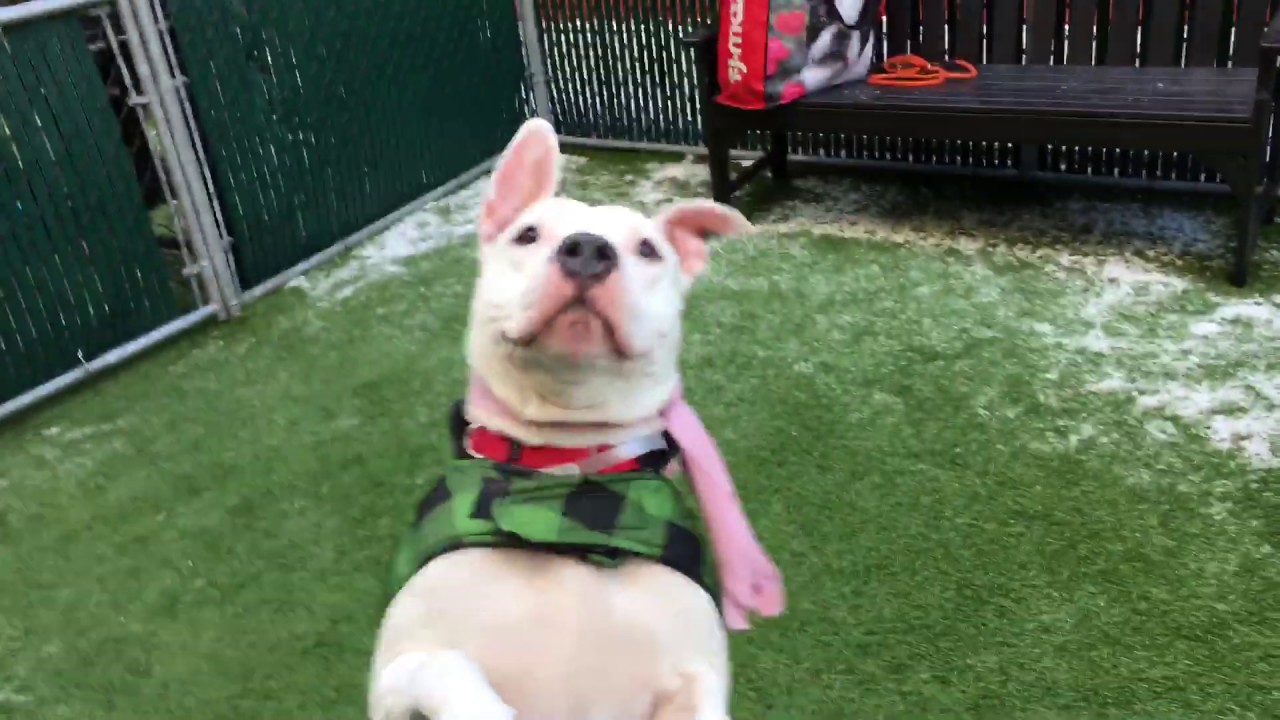 camera iphone 8 plus apk Beadi 53360 at play NYCACC