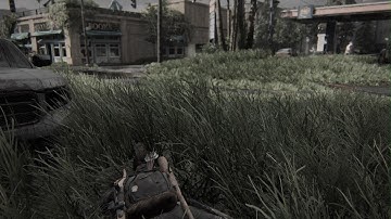 The Last of Us Part II WLF Vs. Infected