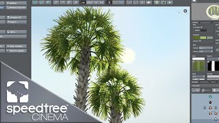 Palm Tree | Speedtree Cinema 9 Tutorial