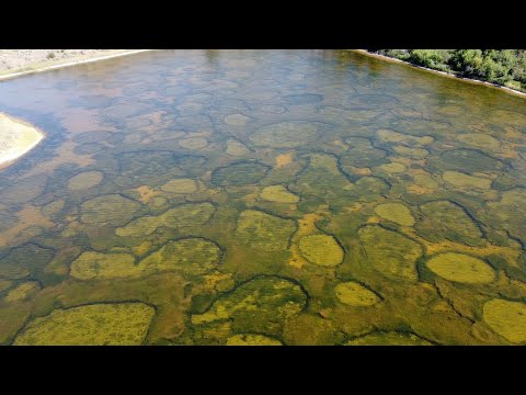 Video: Nenavadno Pikčasto Jezero Kliluk - Alternativni Pogled