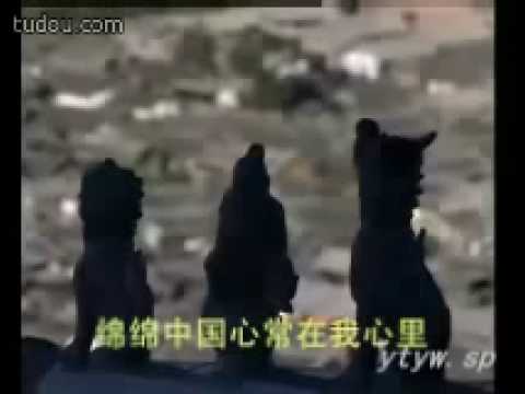 綿綿中國心