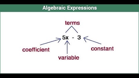 Algebraic Expressions Basic Introduction NCERT Maths Class 7th/7 Chapter 12