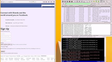 TLS Triple Handshake Demo