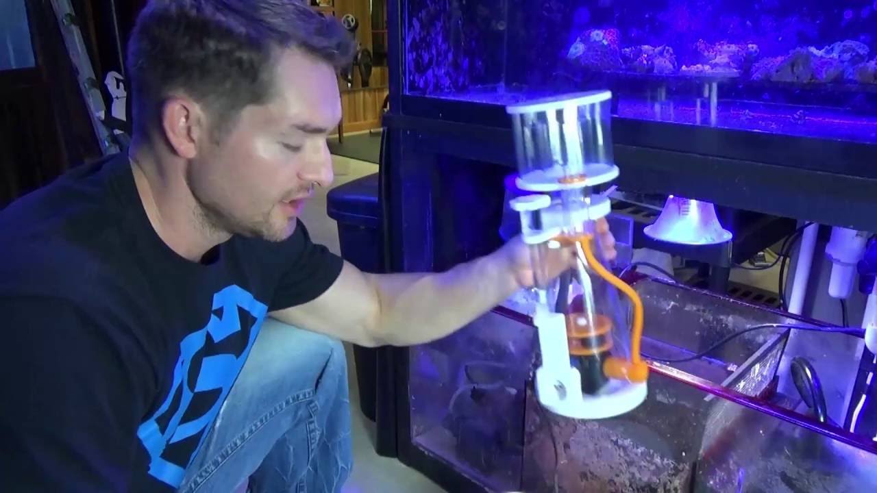 Coral Box D300 Protein Skimmer Install YouTube