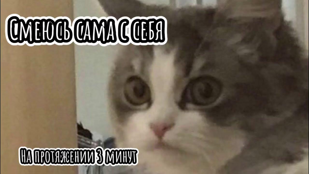 забулила. забулили. буллить или булить. забулила.