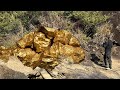 Treasure hunt/Wild forest detection natural gold mine